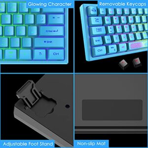 ZIYOU LANG K61 60% Gaming Keyboard Mini Portable with Rainbow RGB Backlit Ergonomic 62Key Layout 19Key Anti-ghosting Mechanical Feel Waterproof USB Wired for PC Mac Windows Gamer Laptop Typists(Blue)