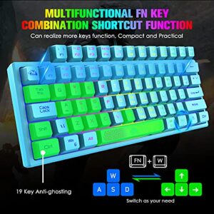 ZIYOU LANG K61 60% Gaming Keyboard Mini Portable with Rainbow RGB Backlit Ergonomic 62Key Layout 19Key Anti-ghosting Mechanical Feel Waterproof USB Wired for PC Mac Windows Gamer Laptop Typists(Blue)