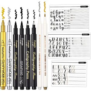 chinco 9 pieces calligraphy set for beginners learn caligraphy kits, including 8 pieces calligraphy brush pens hand lettering pens and lettering workbook calligraphy book for teen kid adult