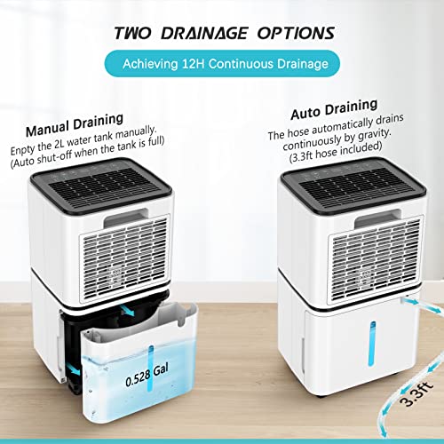 2000 Sq. Ft Dehumidifier for Large Room and Basements, HUMILABS 30 Pints Dehumidifiers with Auto or Manual Drainage, 0.528 Gallon Water Tank with Drain Hose, Intelligent Humidity Control, Auto Defrost, Dry Clothes, 24HR Timer