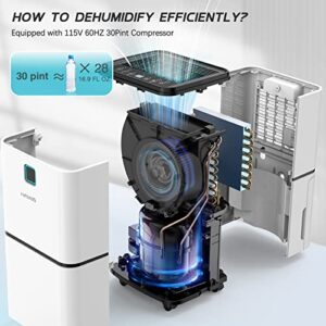 2000 Sq. Ft Dehumidifier for Large Room and Basements, HUMILABS 30 Pints Dehumidifiers with Auto or Manual Drainage, 0.528 Gallon Water Tank with Drain Hose, Intelligent Humidity Control, Auto Defrost, Dry Clothes, 24HR Timer