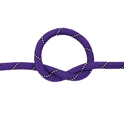 YUZENET Braided Polyester Arborist Rigging Rope (3/8 inch X 100 feet) High Strength Outdoor Rope for Rock Climbing Hiking Camping Swing, Purple