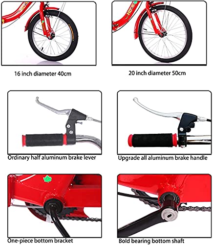 MENGYY Adult Tricycle Folding for Seniors Comfortable seat 3 Wheel Bicycle with Shopping Basket Double Chain 20 Inch Shock Absorber Front Fork Parents and Children Maximum Load 200kg (red) 27*27*17