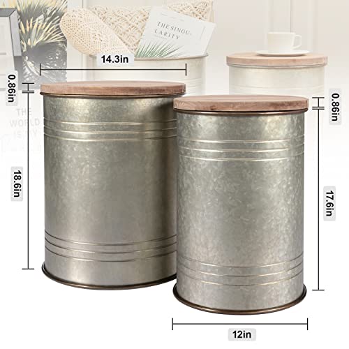 BRIAN & DANY 2 Pack Farmhouse Accent Side Table, Rustic Storage Ottoman Seat Stool with Round Wood Lid, Galvanized Metal Storage Bin for Living Room Furniture, Distressed Grey