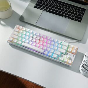 LTC LavaCaps 117-Key PBT Double Shot Keycaps, Translucent OEM Profile for ISO & ANSI Layout 61/68/84/87/98/104 Keys Mechanical Keyboard, with Keycap Puller - (Only Keycaps), White