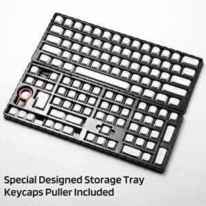 LTC LavaCaps 117-Key PBT Double Shot Keycaps, Translucent OEM Profile for ISO & ANSI Layout 61/68/84/87/98/104 Keys Mechanical Keyboard, with Keycap Puller - (Only Keycaps), White