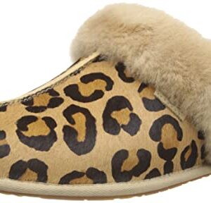 UGG Scuffette II Water-Resistant Slipper Natural 1 5 B (M)