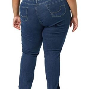 Signature by Levi Strauss & Co. Gold Women's Size Curvy Totally Shaping Straight Jeans (Available in Plus Size), (New) Jackson Square, 26 Regular