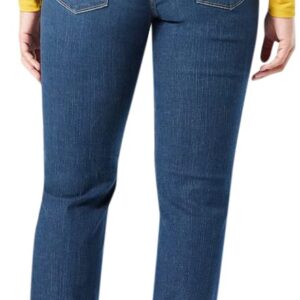 Signature by Levi Strauss & Co. Gold Women's Size Curvy Totally Shaping Straight Jeans (Available in Plus Size), (New) Jackson Square, 26 Regular