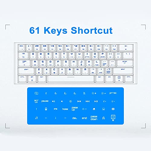 Magic Refiner MK28 60 Percent RGB White Gaming Keyboard, 61 Keys Mechanical Bluetooth/2.4G/USB Wired for Option, Compatible for Windows/iOS/Linux/Andriod PC/Mac Keyboard (Red Switch)