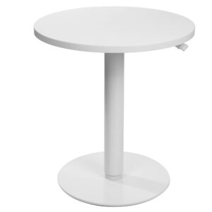 danmin 23.5" round tabletop - sit to stand, height adjustable table/desk from 25.5" to 40.5" - perfect for home office or school parties & events