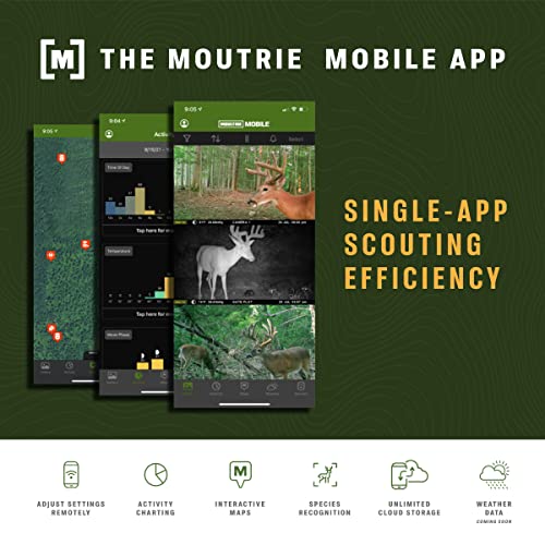 Moultrie Mobile Delta Base Cellular Trail Camera - 24MP Resolution Photos & Videos with Sound | .75s Trigger Speed & 36 invisible IR LEDs | Game Cam for Hunting with App Control | Verizon Nationwide