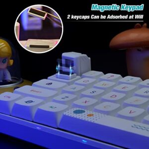 HELOIA Custom Keycaps for Esc Key and Tab Key - Magnetic Light Transmission Keycaps - Classic Retro Mechanical Backlit Keyboard Esc Tab Keycap for GK61 GK64 SK87 GH60 PC Gamer ect Most Keyboard(White)