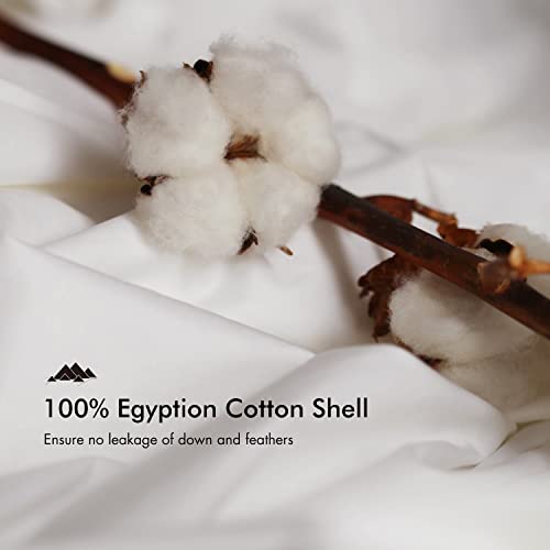Royoliving Superior Poland Down Comforter 100% Egyptian Cotton Shell All Season Queen/Full Size Quilted Duvet Insert with 4 Corner Tabs and 4 Middle Loops (White All Season, Queen/Full)