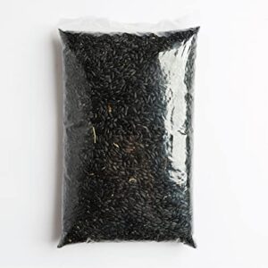 Schoen Farms Black Sunflower Seeds for Birds (4 LBS)