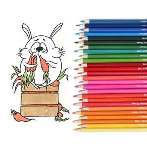 VIKAVAS 50 Colored Pencils Set with Roll Up Canvas Case for Adults Kids Coloring, Drawing, Sketching