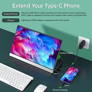 USB-C Portable Monitor - 15.6 Inch FHD HDR FreeSync Zero Frame USB-C Computer Display with Dual Type-C Mini HDMI for Laptop PC Phone Mac Surface Xbox PS5 Switch, with Cover VESA Mountable (Renewed)