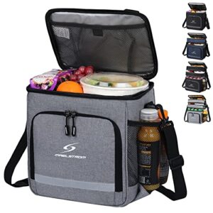 maelstrom lunch box for men,insulated lunch bag women/men,leakproof lunch cooler bag,lunch tote bag for work,small,dark grey