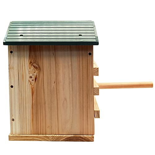 Prolee Screech Owl House Hand Made 14 x 10 Inch 100% Cedar Wood Owl Box with Mounting Screws, Easy Assembly Required (Bird Stand Design)