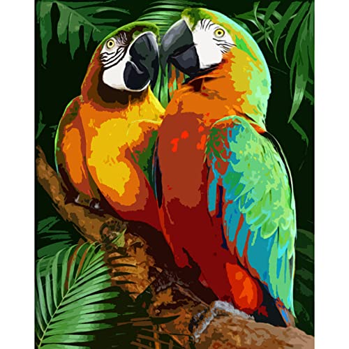 Tucocoo Colorful Parrot Paint by Numbers Kits 16x20inch Canvas DIY Gift Oil Painting for Kids, Students, Adults Beginner with Brushes and Acrylic Pigment-Wildlife Birds Animal Picture(Without Frame)