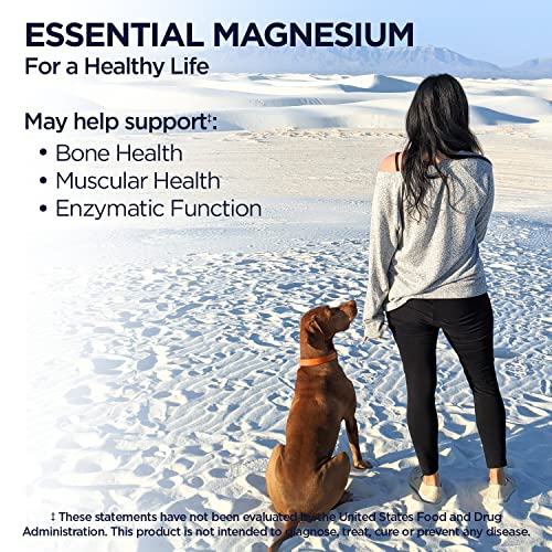 KAL Magnesium Glycinate Tablets, Fully Chelated, High Absorption Formula with Magnesium Bisglycinate Chelate for Nerve, Muscle & Bone Health Support, Vegan, Gluten Free, Value Size, 240 Tablets