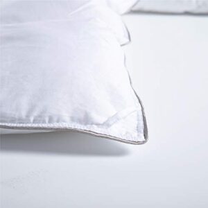 Duvet Insert Queen Size-100% Cotton Comforter Down Alternative White-Quilted Lightweight Duvet Insert Thin Soft Breathable with Silver Trim and 8 Tabs