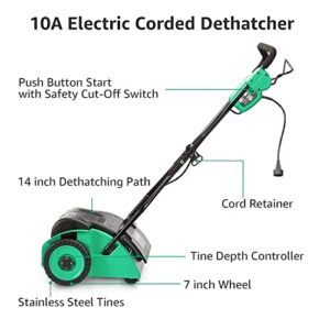 Amazon Brand - Denali 3-Position 10 Amp 14-Inch Corded Dethatcher