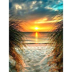 ruopoty paint by number for adults number canvas painting diy oil painting gift kit home wall living room bedroom decoration (orange beach) 99921