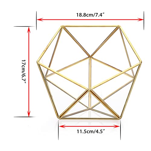 ELLDOO Gold Glass Coffee Pods Holder, 15 Sided Geometric Box Coffee Pod Organizer for K Cup Espresso, Tea Bags Sugar Packets Coffee Capsule Storage Holder for Kitchen Coffee Bar Office Desktop Counter