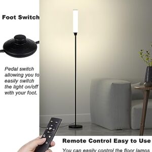 Floor Lamps for Living Room, Upgrade Moder Floor Lamp with Remote Control, Full Range Dimming Minimalist Standing Lamp Perfect for Living Room, Bedrooms and Office (Black)