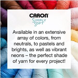 Caron Simply Soft Party Purple Sparkle Yarn - 3 Pack of 85g/3oz - Acrylic - 4 Medium (Worsted) - 164 Yards - Knitting, Crocheting & Crafts