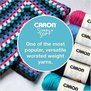 Caron Simply Soft Party Purple Sparkle Yarn - 3 Pack of 85g/3oz - Acrylic - 4 Medium (Worsted) - 164 Yards - Knitting, Crocheting & Crafts