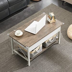 VINGLI 36" Lift Top Coffee Table with Free Cloth Storage Bins, White Walnut Framhouse Coffee Table for Living Room, Small Modern Coffee Table for Small Space in Minimalistic Style, Dark Walnut