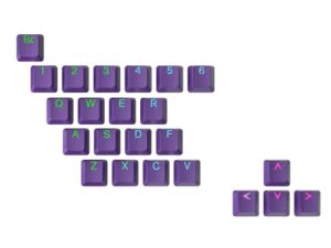 ranked rubber keycap set | double shot translucent | oem profile for mechanical gaming keyboard (dark purple, 23 keys)