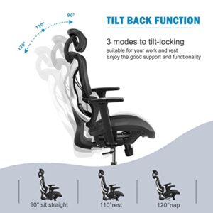 GABRYLLY Ergonomic Office Chair with Lumbar Support, Big and Tall Mesh Chairs with Adjustable 3D Arms, Headrest & Soft Seat, Large Desk Chair for Home Gaming,Black