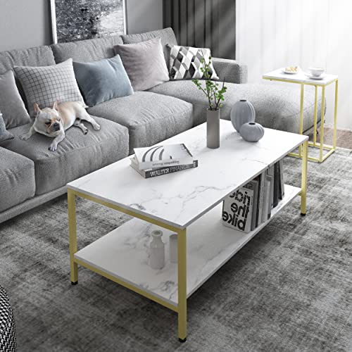 PrimeZone Coffee Table for Living Room - 2 Tier Rectangle Modern Coffee Table 21.5" D x 41" W x 18" H, Sofa Center Table with Gold Metal Frame, White Faux Marble