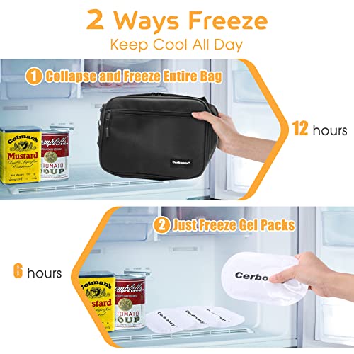 Freezable Lunch Bag,Lunch Box with Ice Packs,Small Cooler Lunch Box with Detachable Ice Packs,Small Insulated Cooler Bag,Freezable Lunch Bags with Durable Zippers,Freezable Lunch Box For School/Work