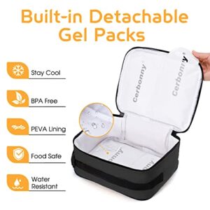 Freezable Lunch Bag,Lunch Box with Ice Packs,Small Cooler Lunch Box with Detachable Ice Packs,Small Insulated Cooler Bag,Freezable Lunch Bags with Durable Zippers,Freezable Lunch Box For School/Work