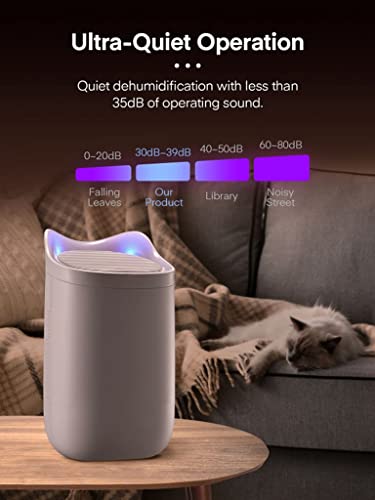 ZZWW Small Dehumidifier, Quiet Mini Dehumidifier 220 Sq.Ft (20oz Water Tank), Portable Dehumidifier for Bedroom, Bathroom, Closet White