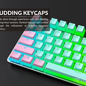 Ranked Pudding v2 PBT Keycaps | 145 Double Shot Translucent ANSI US & ISO Layout | OEM Profile for Full Size, TKL, 75%, 65% and 60% RGB Mechanical Gaming Keyboard (Miami)