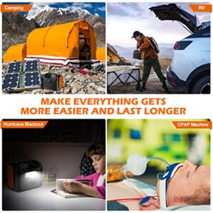 DLNRG R300 299Wh Portable Power Station, 300W Pure Sine Wave Solar Generator 93437mAh Backup LiFePO4 Battery 110V 2 AC Outlets,PD 60W USB-C in/out,Dual 12V/120W Ports outdoor generator for Camping,RV,CPAP Orange