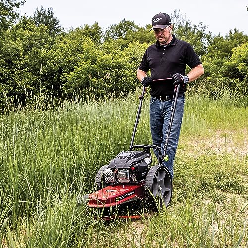 Earthquake Walk Behind String Mower With 160cc Viper 4-Cycle Engine, 22” Cutting Diameter, 14” Never-Go-Flat Wheels, Easy Assembly, Adjustable Handlebar, Model # 40314