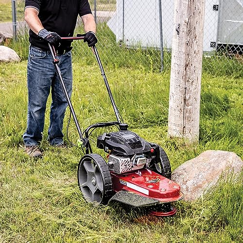 Earthquake Walk Behind String Mower With 160cc Viper 4-Cycle Engine, 22” Cutting Diameter, 14” Never-Go-Flat Wheels, Easy Assembly, Adjustable Handlebar, Model # 40314