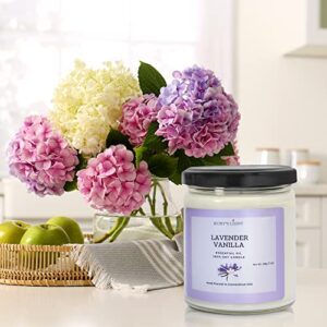 Essential Oil Candle | Aromatherapy for The Home | 9 Oz Glass Jar | All-Natural Soy Candles | Cotton Wick | High Scent | 40 Hours Burn Time | Gift for Women & Men (Lavender Vanilla)