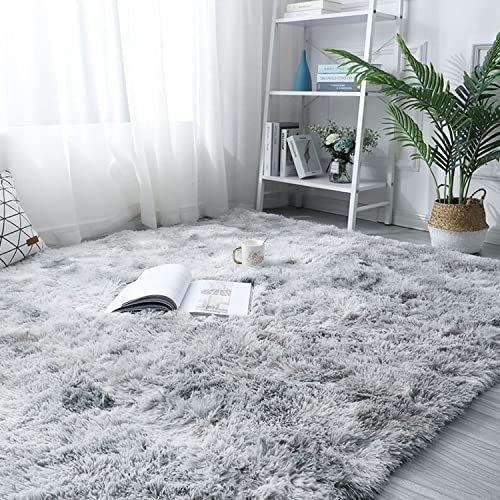 OdentBlca Fluffy Area Rug, 3x5,Soft Fuzzy Shaggy Carpet for Girls Bedroom, Kids/ Living Room with Non-Slip Bottom,Light Grey