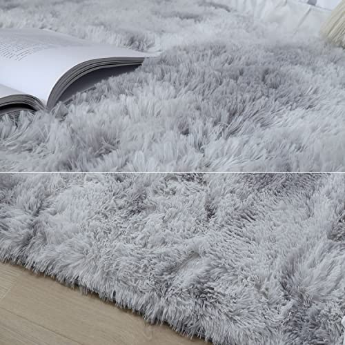 OdentBlca Fluffy Area Rug, 3x5,Soft Fuzzy Shaggy Carpet for Girls Bedroom, Kids/ Living Room with Non-Slip Bottom,Light Grey