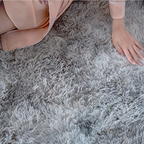 OdentBlca Fluffy Area Rug, 3x5,Soft Fuzzy Shaggy Carpet for Girls Bedroom, Kids/ Living Room with Non-Slip Bottom,Light Grey