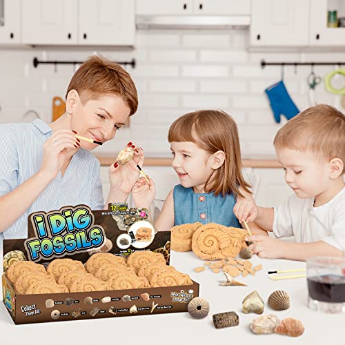 Byncceh Fossil Dig Kit - Educational STEM Science Toys for Kids Ages 6+ - Dig Up 12 Real Fossils & Dinosaur Bones - Digging Activities Kits - Paleontology, Discovery Gifts for Boys & Girls