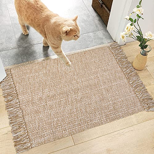 Collive Small Bathroom Rug, 2' x 3' Hand-Woven Low Profile Front Entryway Rug, Tan Cotton Reversible Washable Kitchen Mat Modern Farmhouse Carpet for Foyer Bedroom Back Door Decor