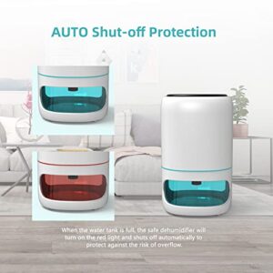 Hoomace Small Dehumidifiers for Bedroom w/Air Purifying Function, 1000ml/35oz for 2500 Cubic Feet (260 sq ft) with 7 Colorful LED Lights - Timer Set - Negative Ions - Below 30dB, Auto Shut-Down